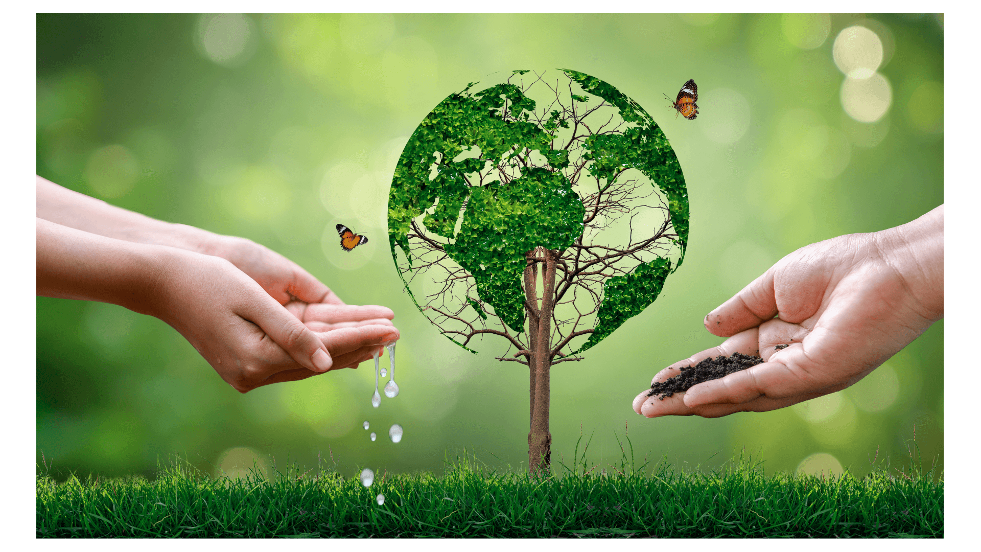 Hands nurturing a world-tree