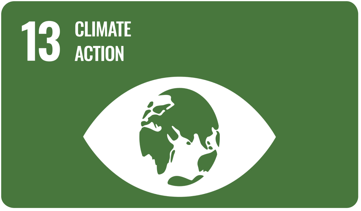 SDG 13 Climate Action