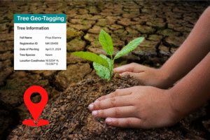 Memory-Rich Keepsakes & Environmental Action